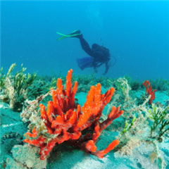 Vignette illustrant cette actualité