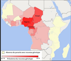 Vignette illustrant cette actualité