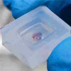 Vignette illustrant cette actualité