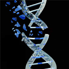 Vignette illustrant cette actualité