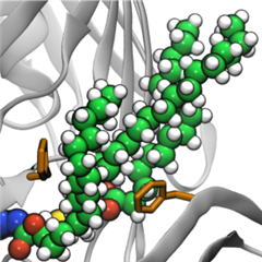 Vignette illustrant cette actualité