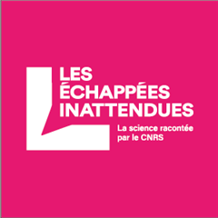 Vignette illustrant cette actualité