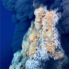 Vignette illustrant cette actualité