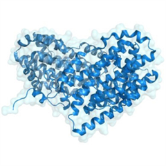 Vignette illustrant cette actualité