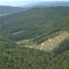 Vignette illustrant cette actualité