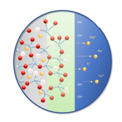 Vignette illustrant cette actualité