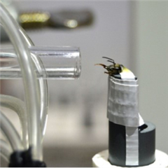 Vignette illustrant cette actualité