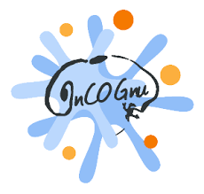 Image illustrant cette actualité