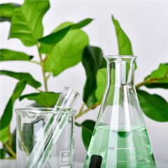 Vignette illustrant cette actualité