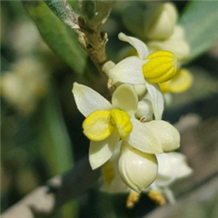 Vignette illustrant cette actualité