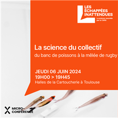 Vignette illustrant cette actualité