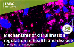 Vignette illustrant cette actualité