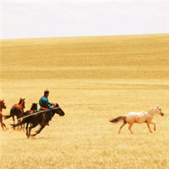 Vignette illustrant cette actualité