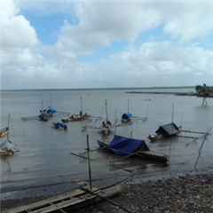 Vignette illustrant cette actualité