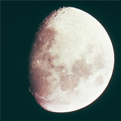 Vignette illustrant cette actualité