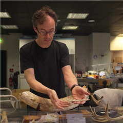 Vignette illustrant cette actualité