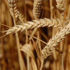 Vignette illustrant cette actualité