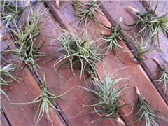 Vignette illustrant cette actualité