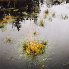 Vignette illustrant cette actualité