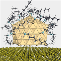 Vignette illustrant cette actualité