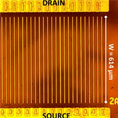 Vignette illustrant cette actualité