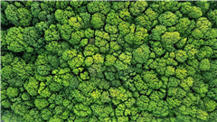 Vignette illustrant cette actualité