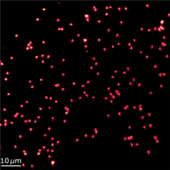 Vignette illustrant cette actualité