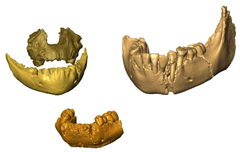 Vignette illustrant cette actualité