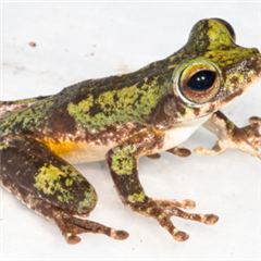 Vignette illustrant cette actualité