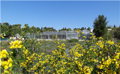 Vignette illustrant cette actualité