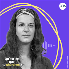 Vignette illustrant cette actualité