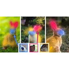 Vignette illustrant cette actualité