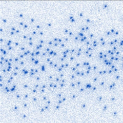 Vignette illustrant cette actualité