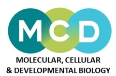 Vignette illustrant cette actualité