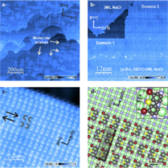 Vignette illustrant cette actualité