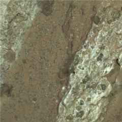 Vignette illustrant cette actualité