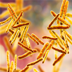 Vignette illustrant cette actualité