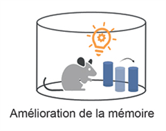 Vignette illustrant cette actualité