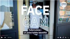 Vignette illustrant cette actualité