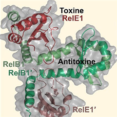 Vignette illustrant cette actualité