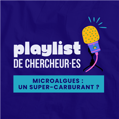 Vignette illustrant cette actualité