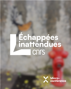 Image illustrant cette actualité