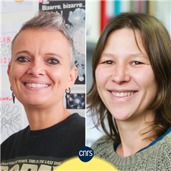 Image illustrant cette actualité