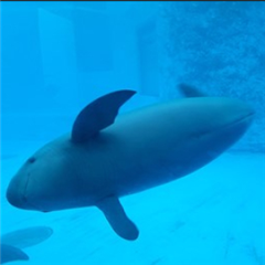 Vignette illustrant cette actualité