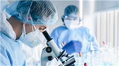 Image illustrant cette actualité