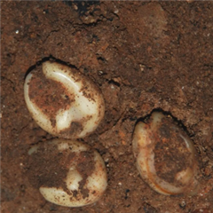 Vignette illustrant cette actualité