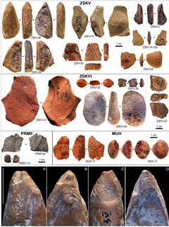 Vignette illustrant cette actualité