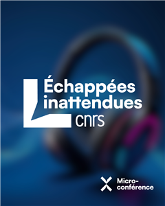 Image illustrant cette actualité