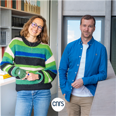 Image illustrant cette actualité