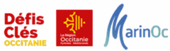 Image illustrant cette actualité